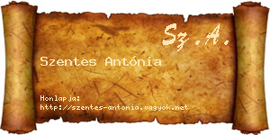 Szentes Antónia névjegykártya